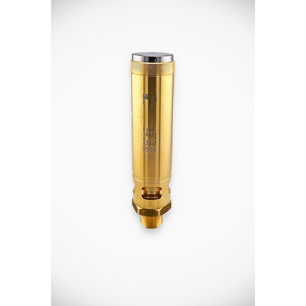 Goetze Kg High Performance PRV series 812, ASME certified, Brass, for gaseous media, 3/4 in. male NPT, 200PSI 812sGK-20-NPT-m/-20/-FKM 200 PSI - main